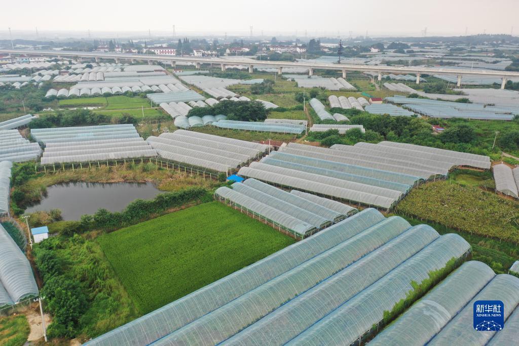 tt太阳娱乐